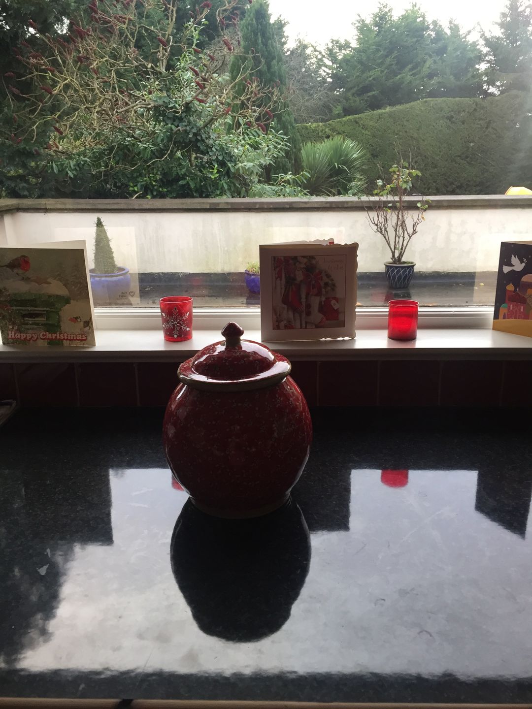 Customer photo review of Cookie Jar Lawn Light Blue