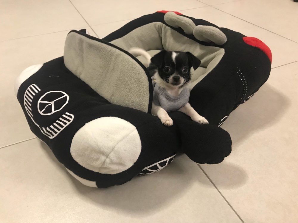 Customer photo review of Furcedes Sports Car Bed