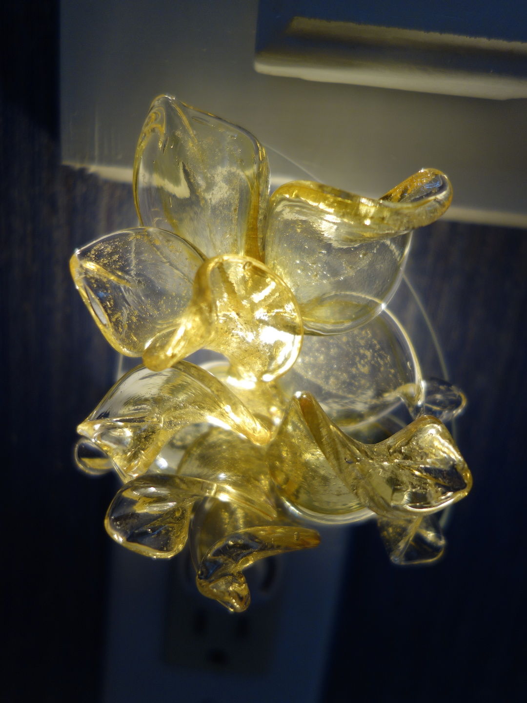 Customer photo review of Memorial Nightlight Flower with Cremation Ash