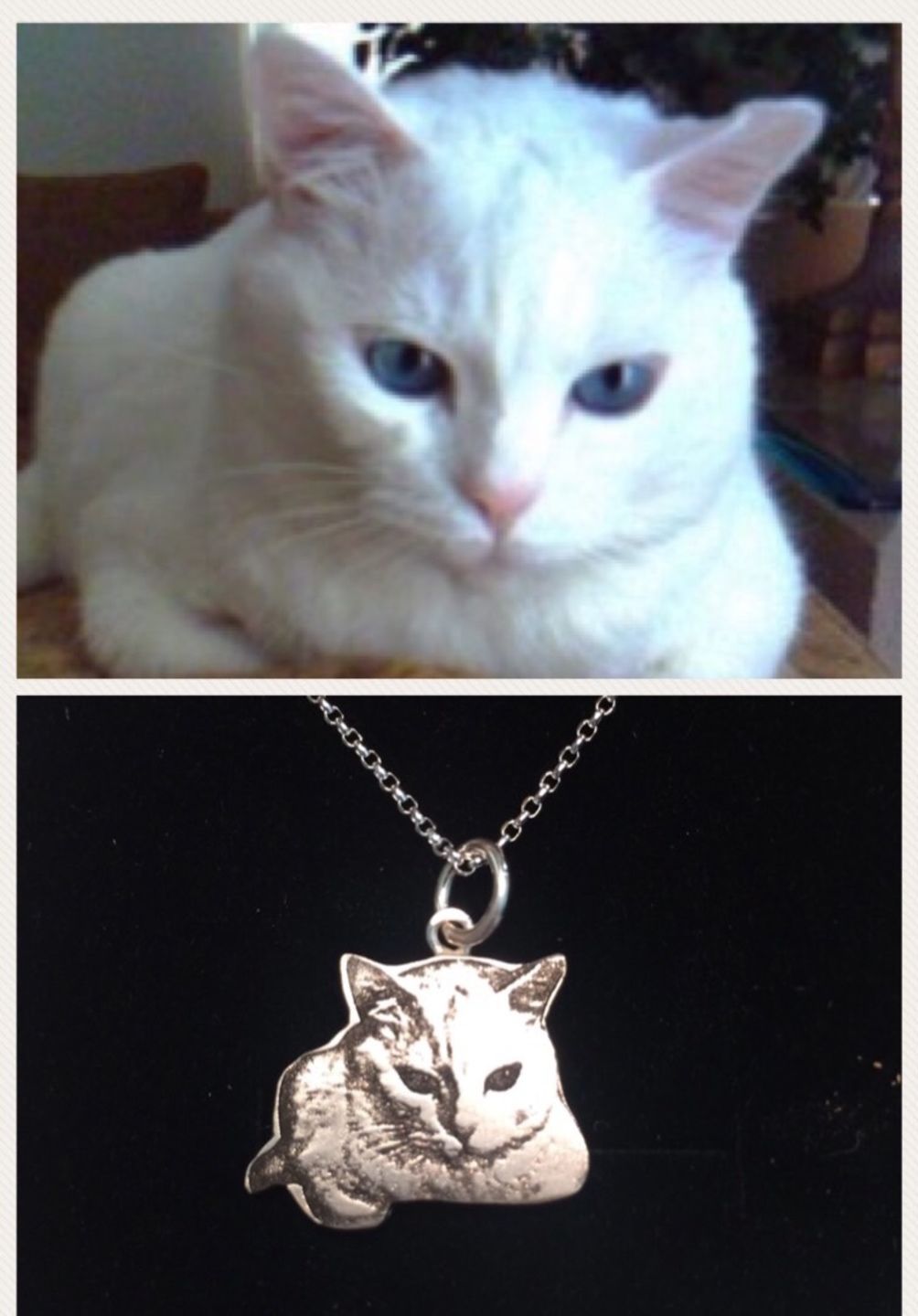 Customer photo review of Personalized Silver Cat Necklace (925 Sterling Silver)