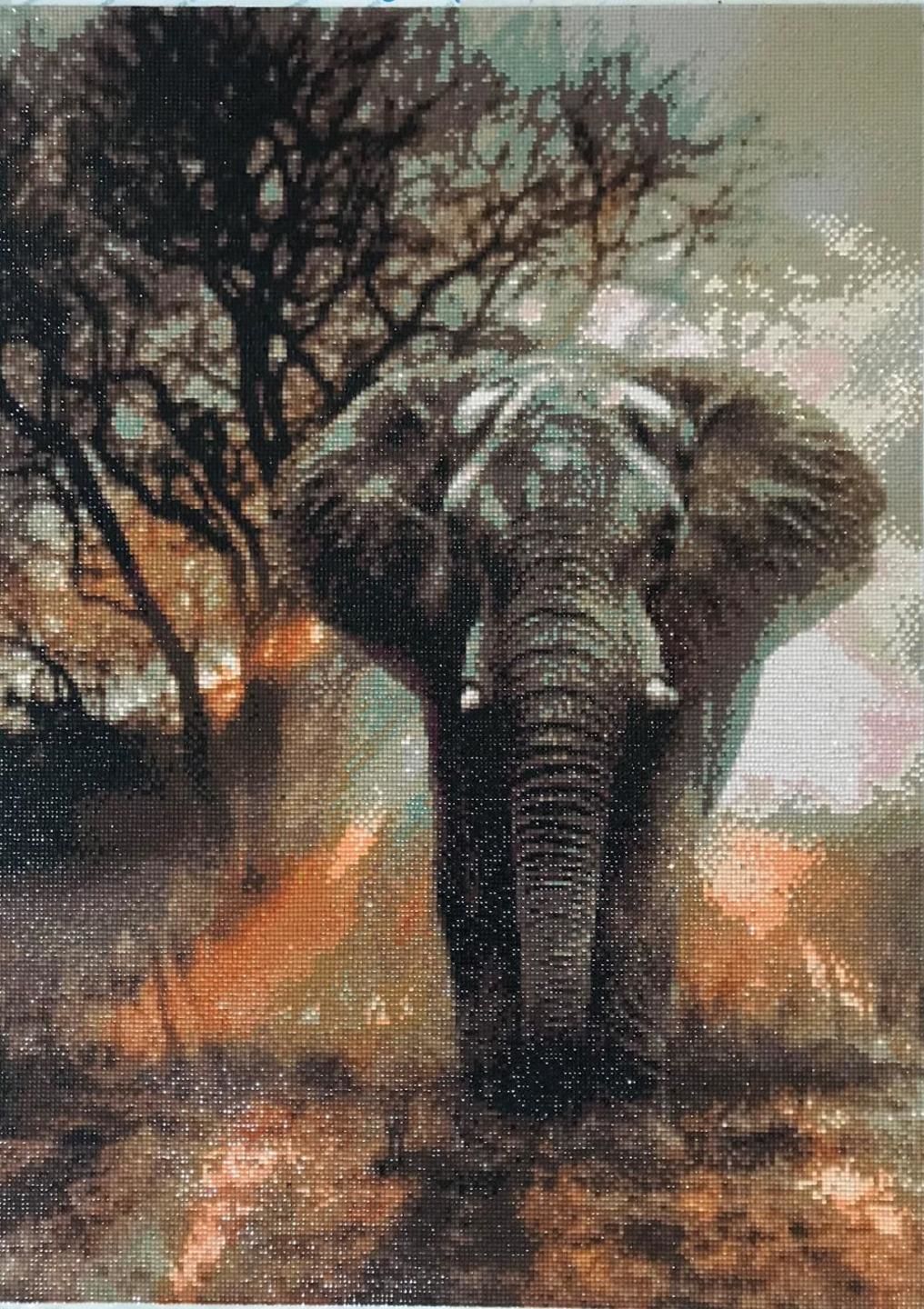 Customer photo review of Elephant - Diamond Painting Kit