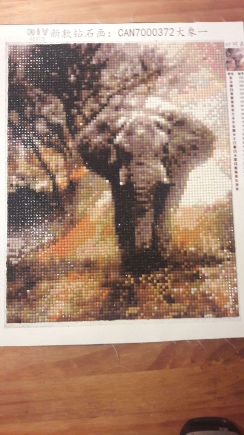 Customer photo review of Elephant - Diamond Painting Kit