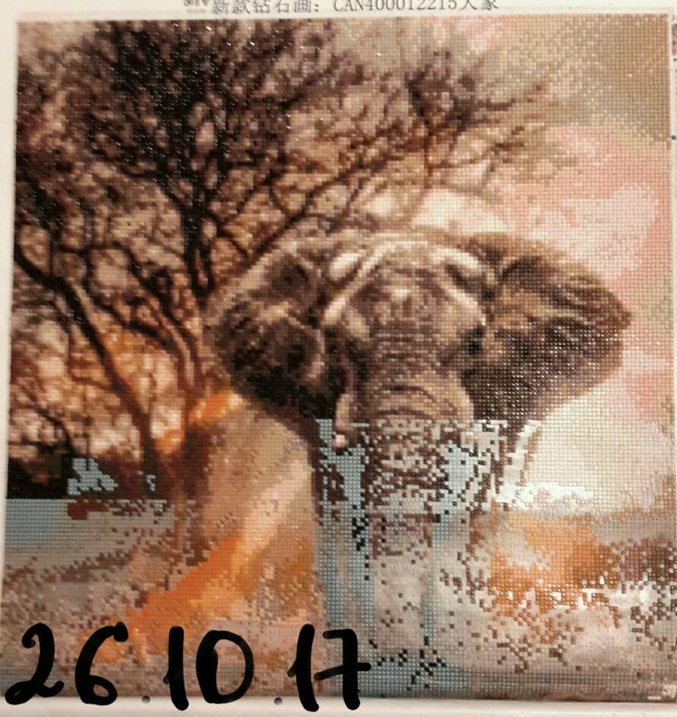 Customer photo review of Elephant - Diamond Painting Kit