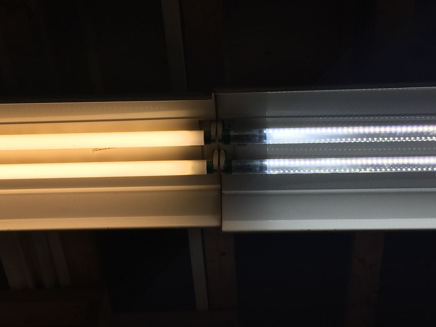Customer photo review of Hybrid T8 4ft LED Tube Glass 18W 2400 Lumens 6500K Clear (Check Compatibility List; Not Compatible with all ballasts)