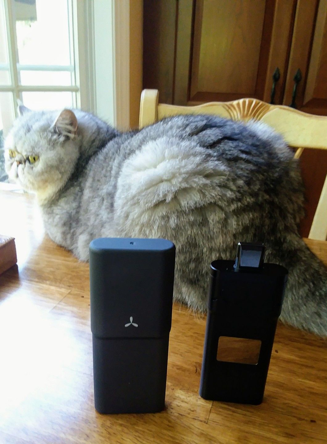 Customer photo review of X Shell for AirVape X