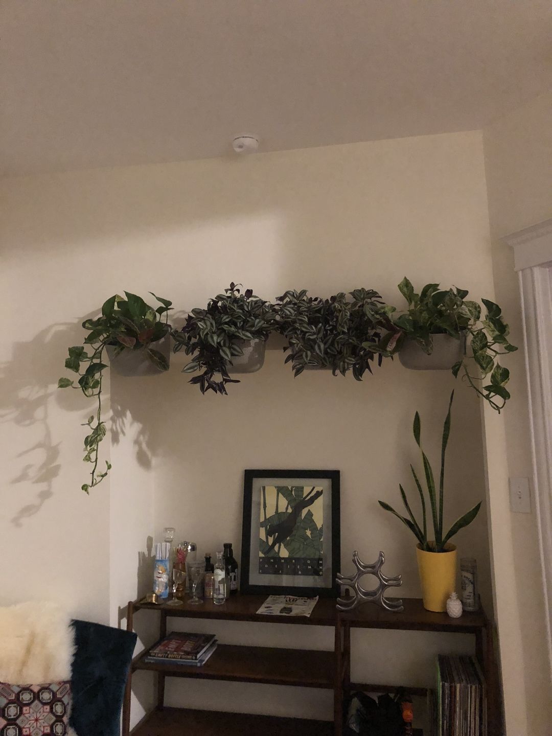 Customer photo review of Wally Eco Stone Wall Planter