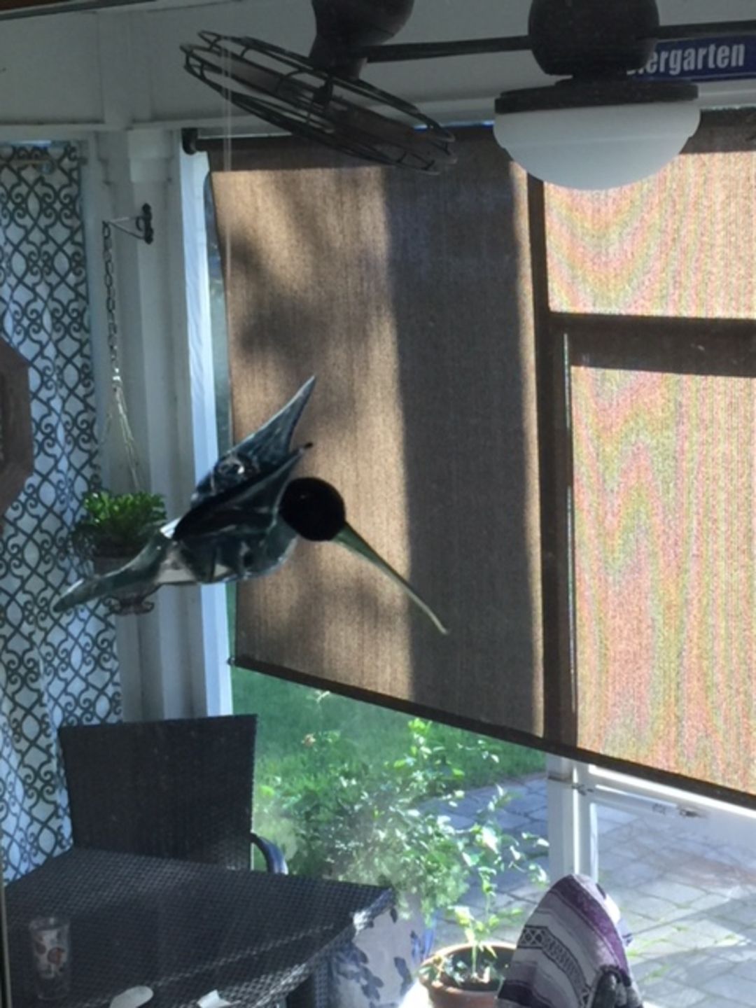 Customer photo review of Aqua Glass Hummingbird with Infused Ash
