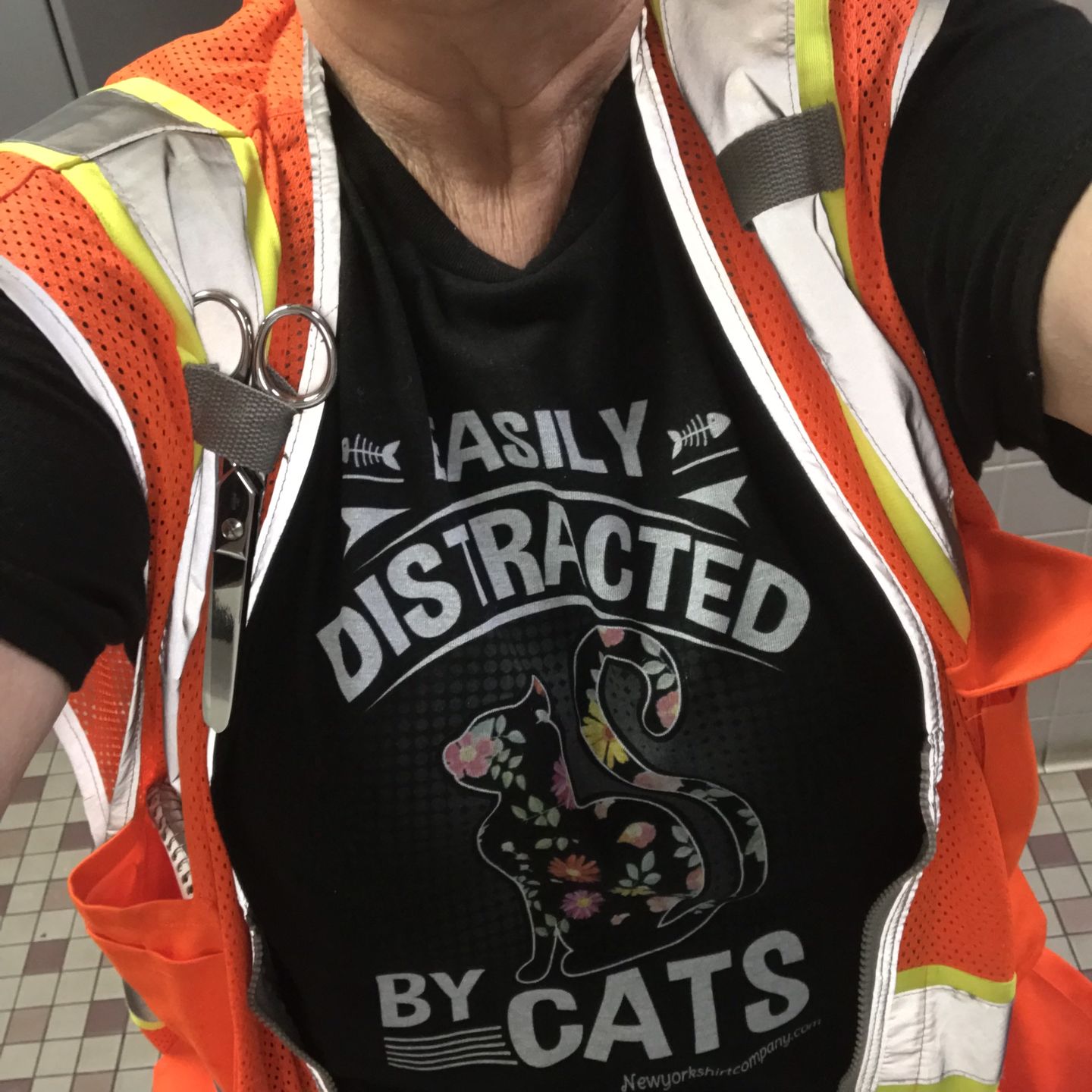 Customer photo review of "Easily Distracted By Cats"