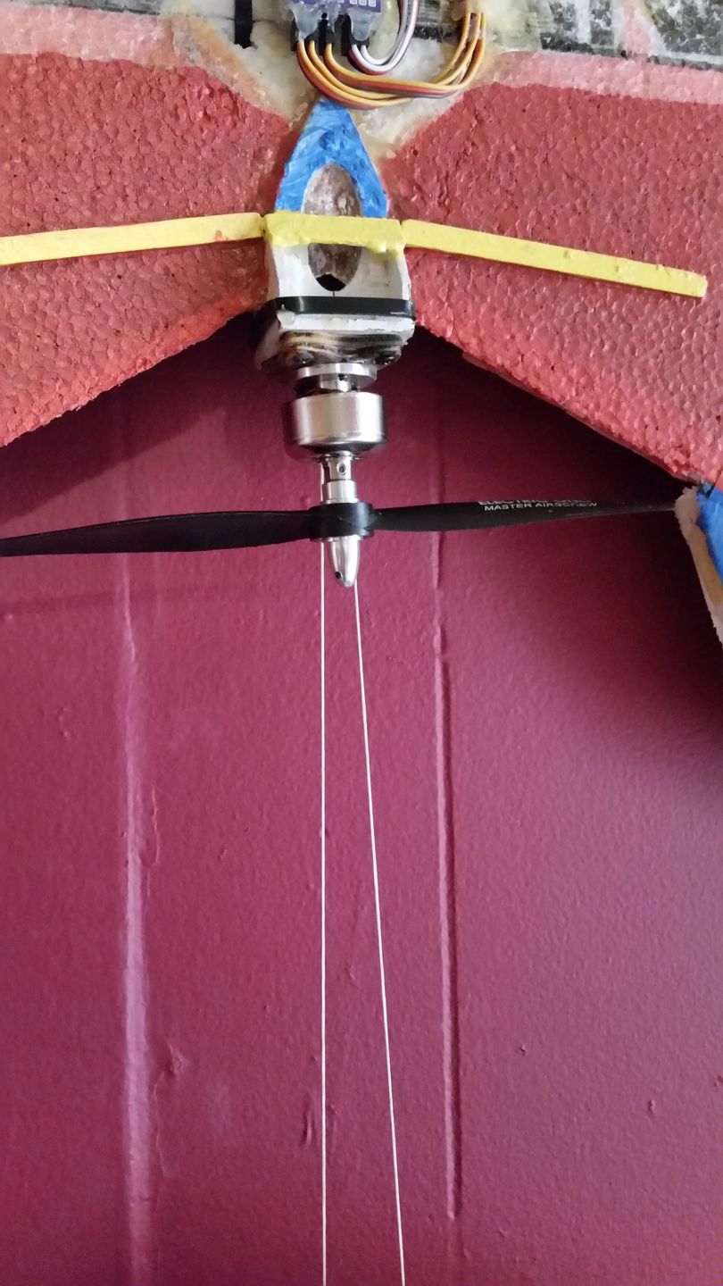 Customer photo review of Electric Only - 8x5 Propeller