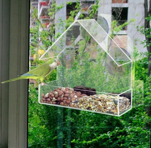Best Window Bird Feeder Reviews
