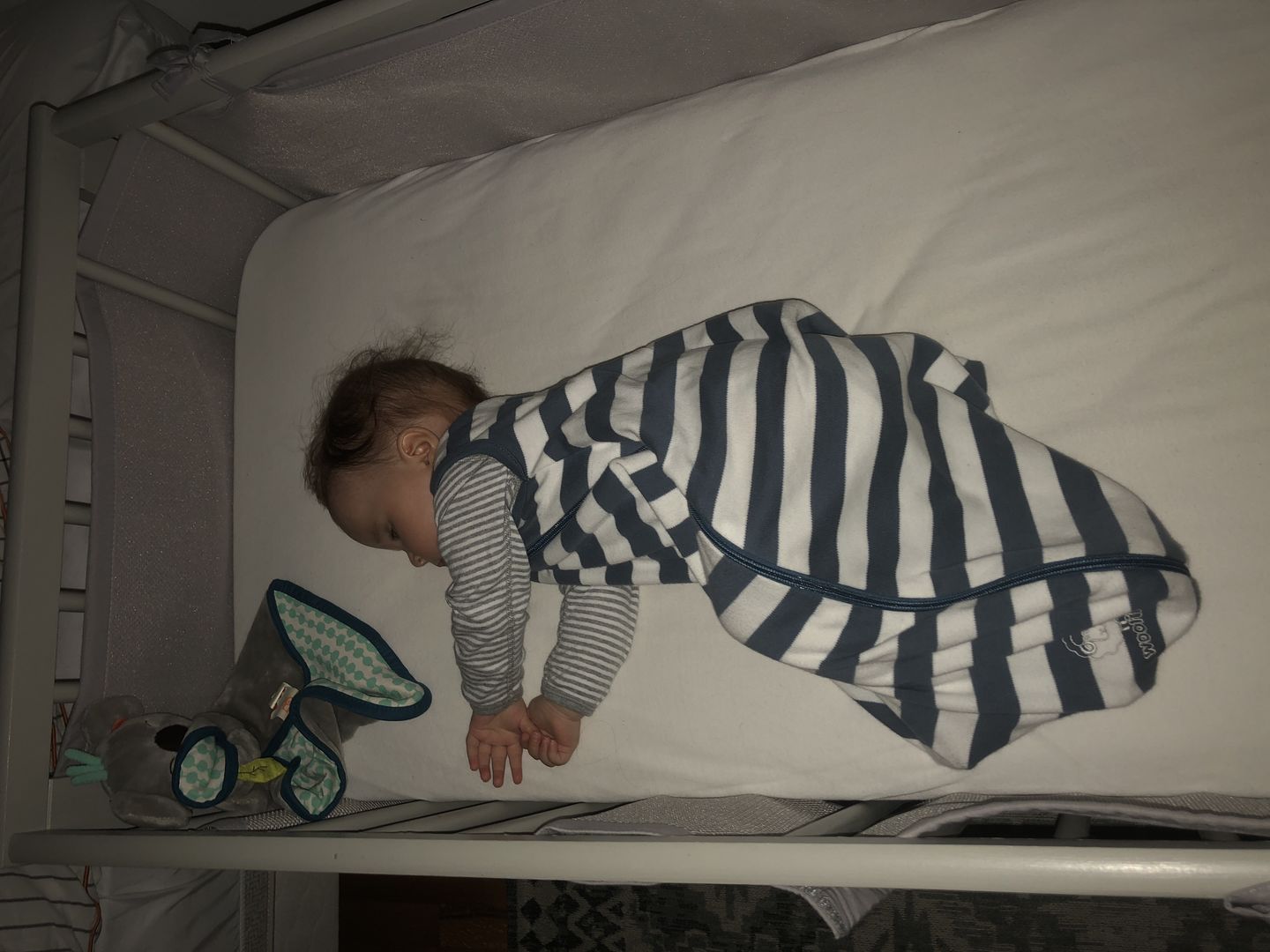 Customer photo review of Ecolino® Organic Cotton Classic Baby Sleep Bag or Sack, Deep Blue