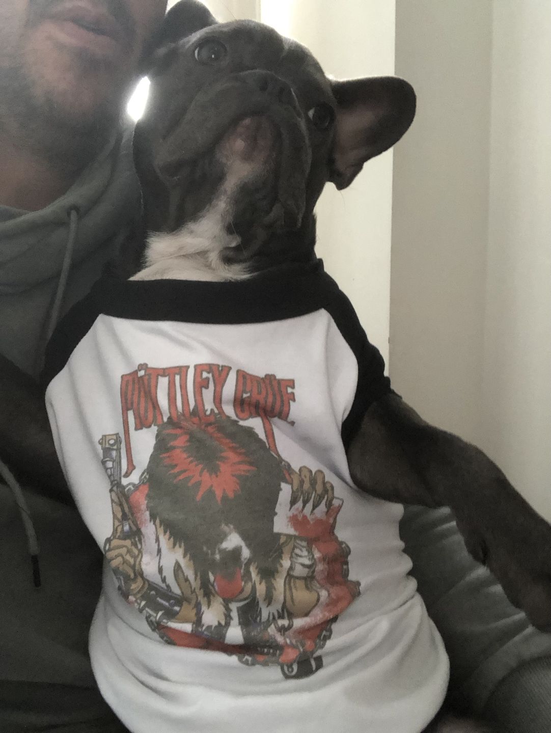 Customer photo review of Muttley Crew Raglan Dog Tee