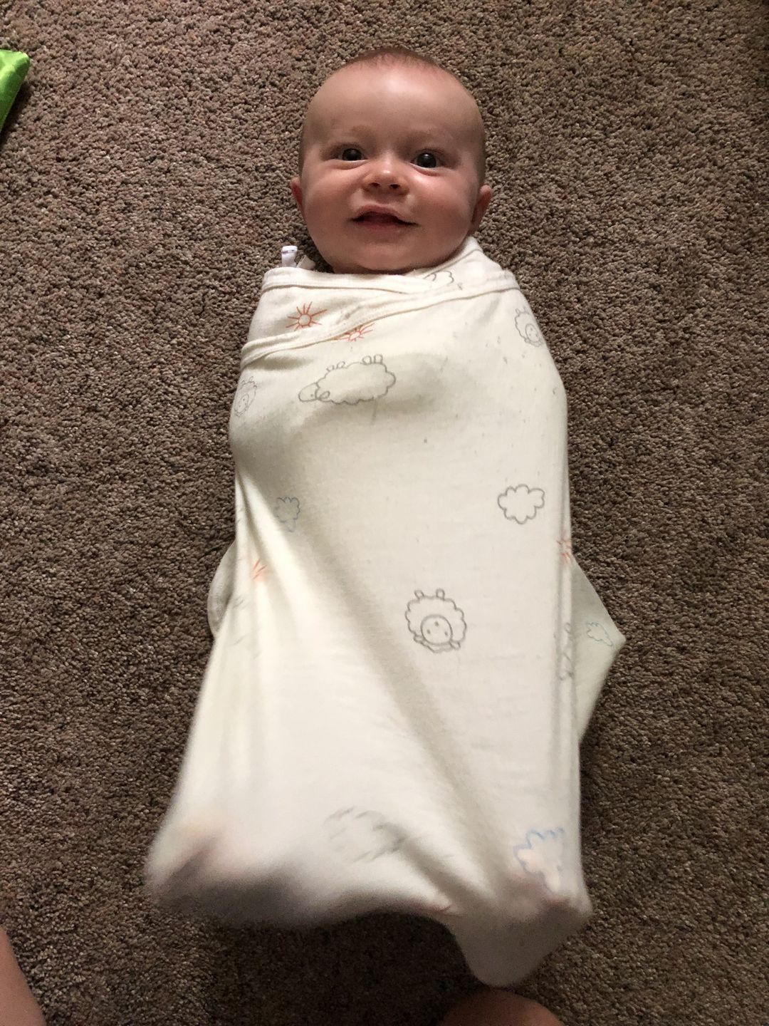 Customer photo review of Swaddle Blanket, Merino Wool, Newborn to 3 Months, Blue