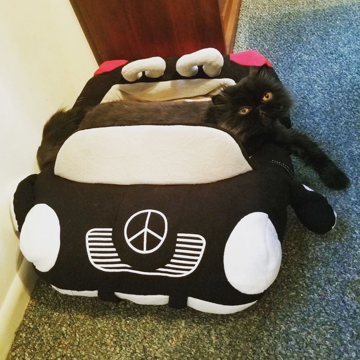 Customer photo review of Furcedes Sports Car Bed