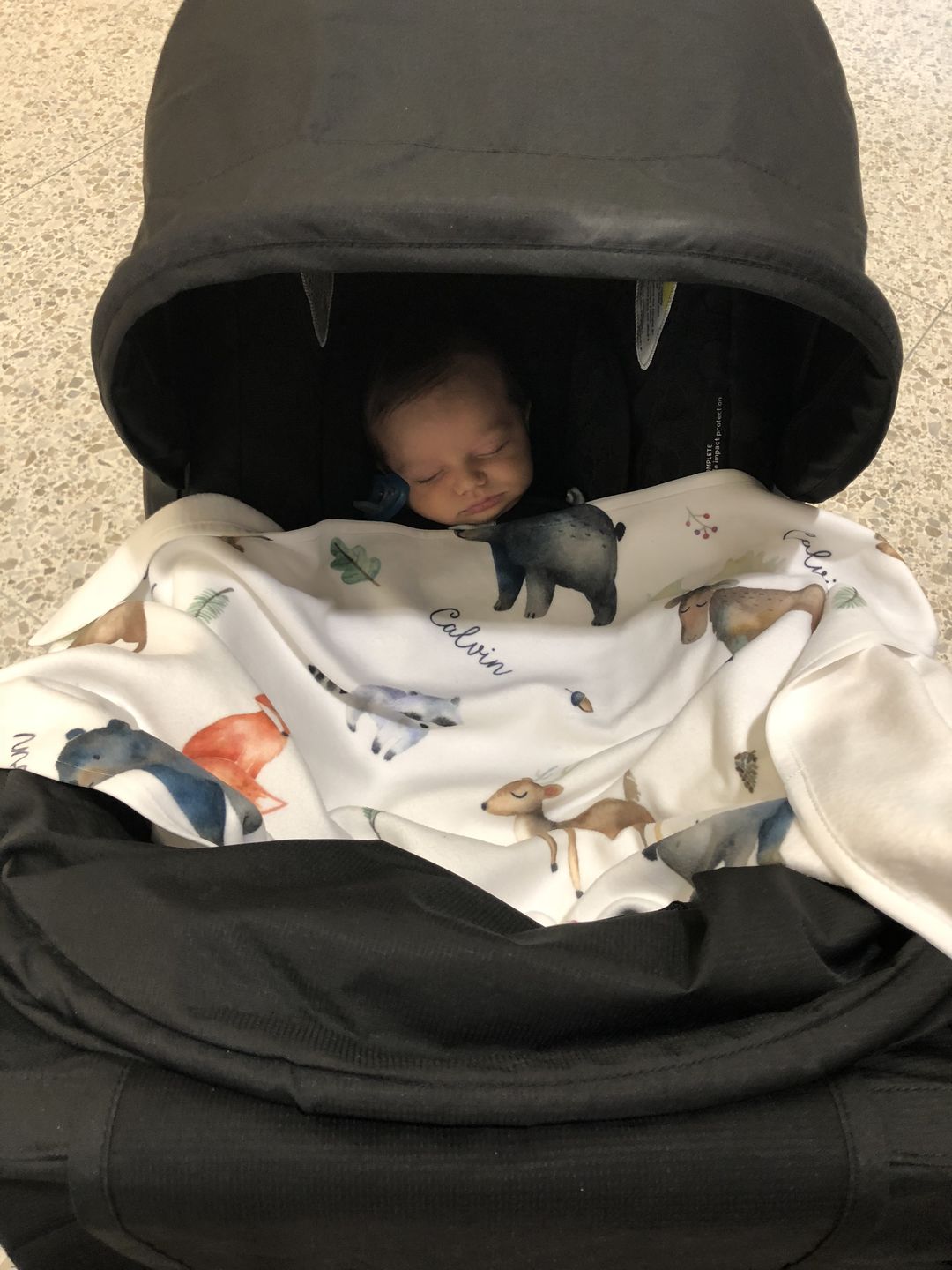 Customer photo review of Woodland Animals Personalized Baby Blanket