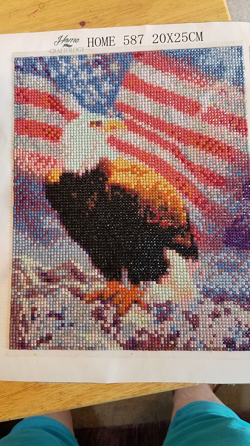 Customer photo review of American Flag with Fierce Eagle - Diamond Paint Kit