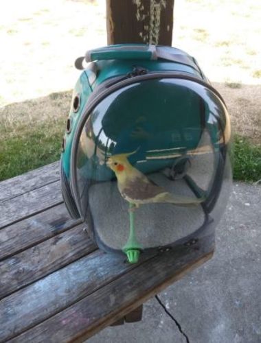 premium space capsule cat carrier backpack