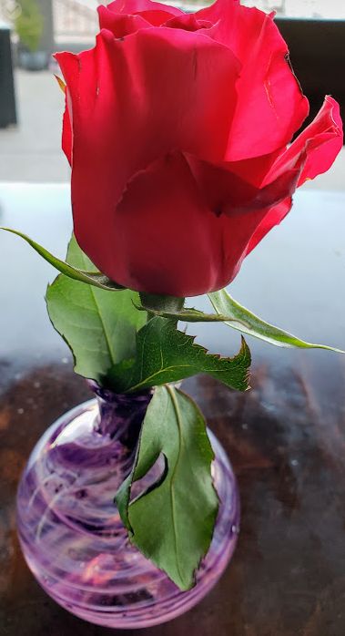 Customer photo review of Bud Vase with Cremation Ashes