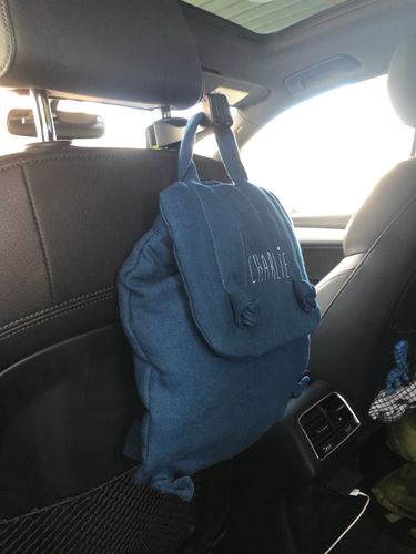 mister gadget headrest hook