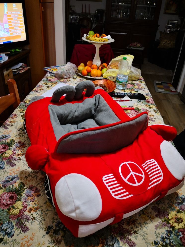 Customer photo review of Furcedes Sports Car Bed