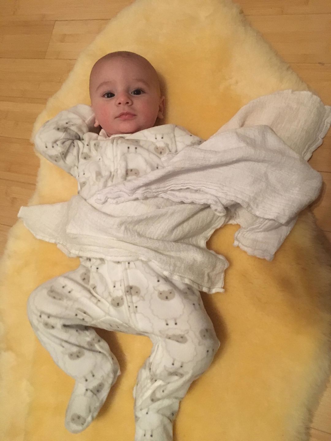 Customer photo review of Sheepskin Rug for Babies, 100% Natural, Shorn Lambskin Wool, 2 x 3 Feet, Flax