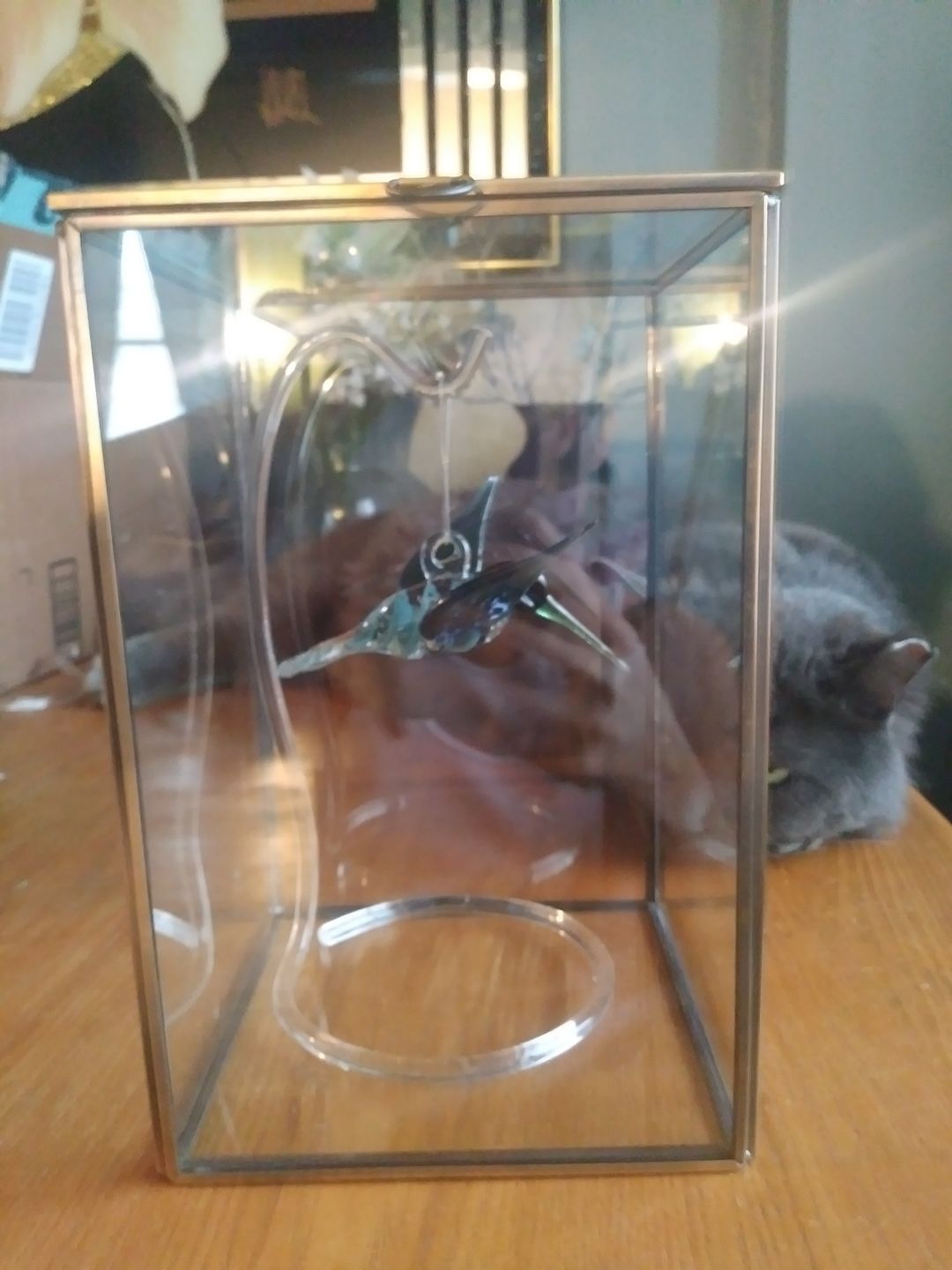Customer photo review of Aqua Glass Hummingbird with Infused Ash