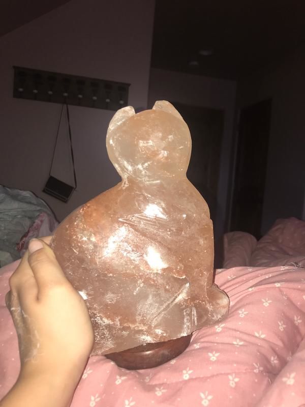 Customer photo review of Purrfect Cat Himalayan Salt Lamp