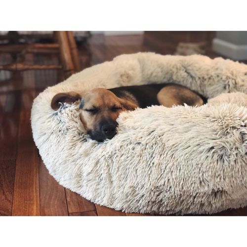 anti anxiety bed for dogs