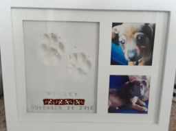 Customer photo review of Baby Handprint Footprint Keepsake Kit