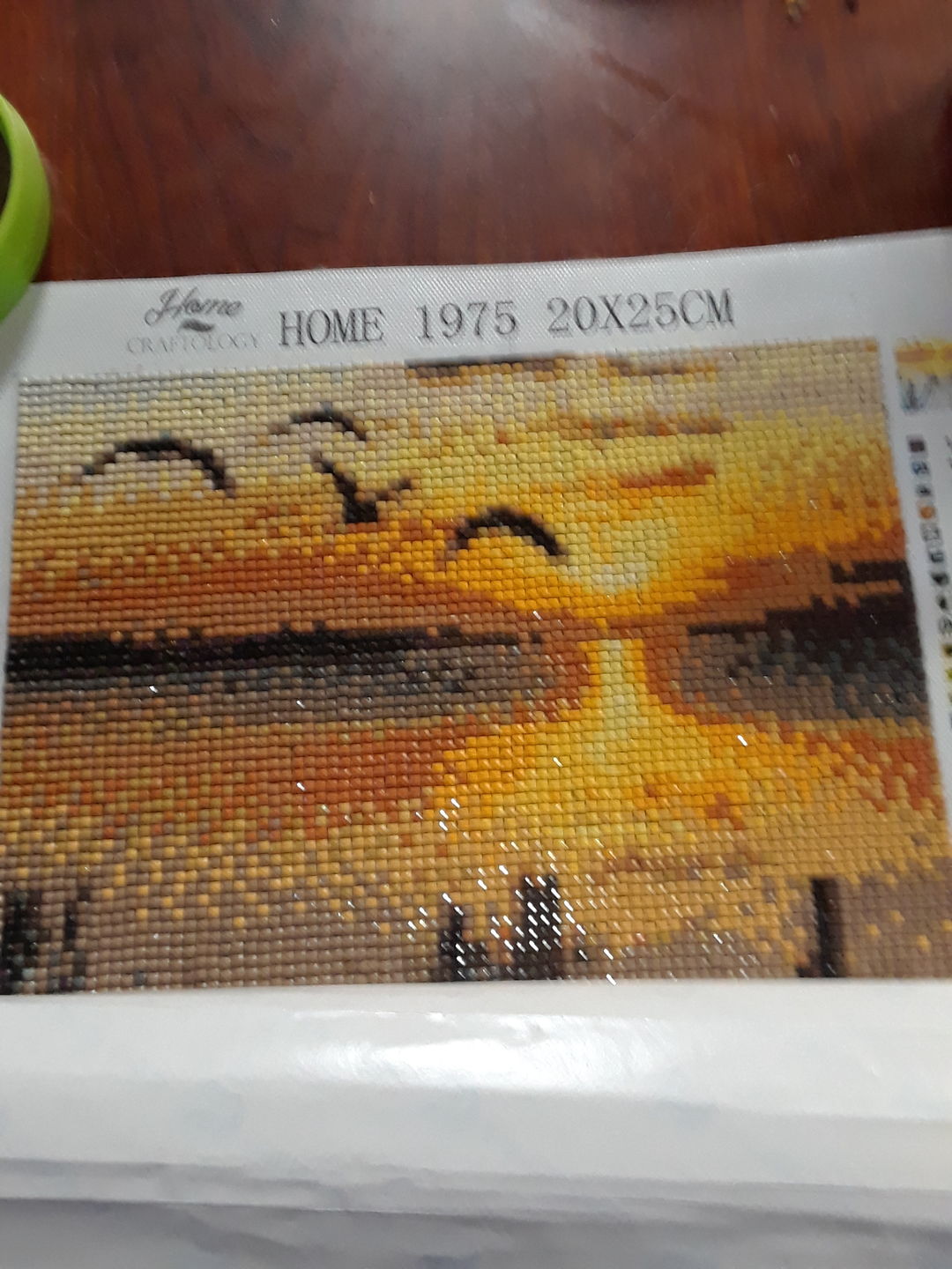 Customer photo review of Birds and Sunset - Diamond Painting Kit