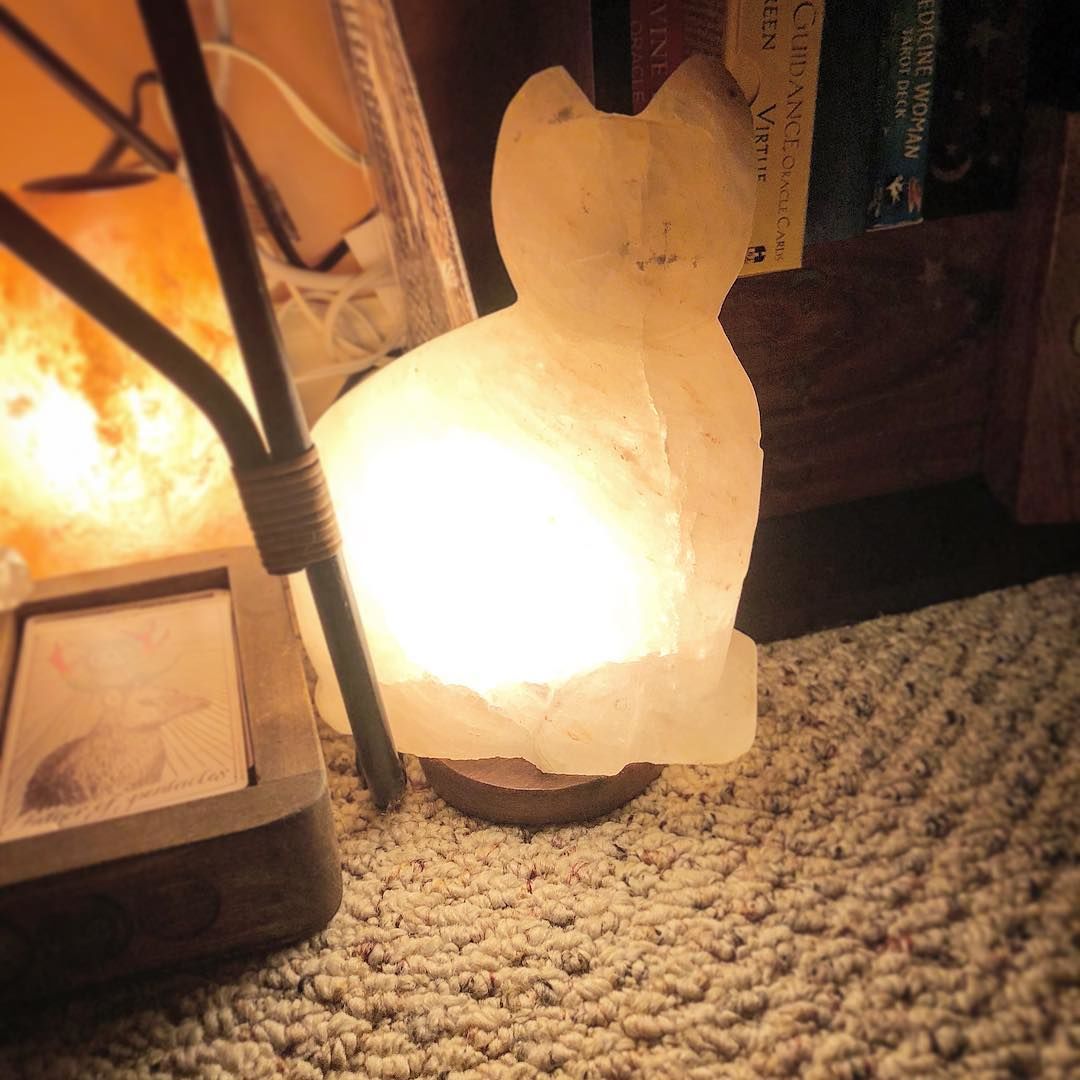 Customer photo review of Purrfect Cat Himalayan Salt Lamp