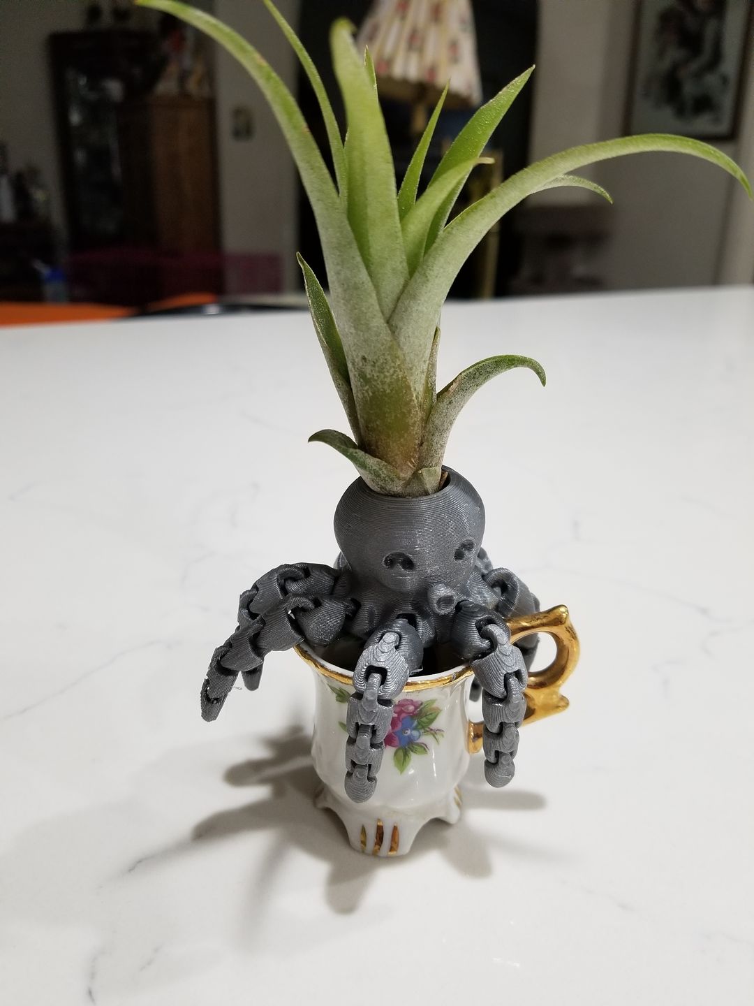 Customer photo review of Wholesale Capitata Medium  (Minimum Order 5)
