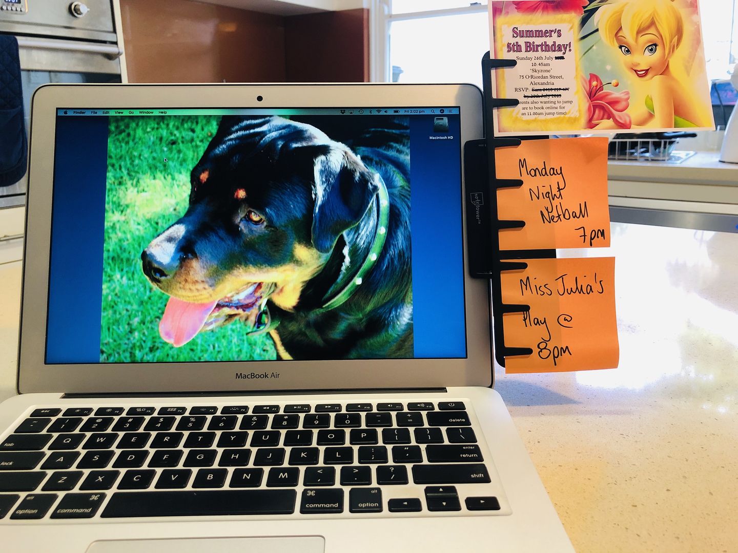 Customer photo review of Note Tower Monitor Document & Note Holder