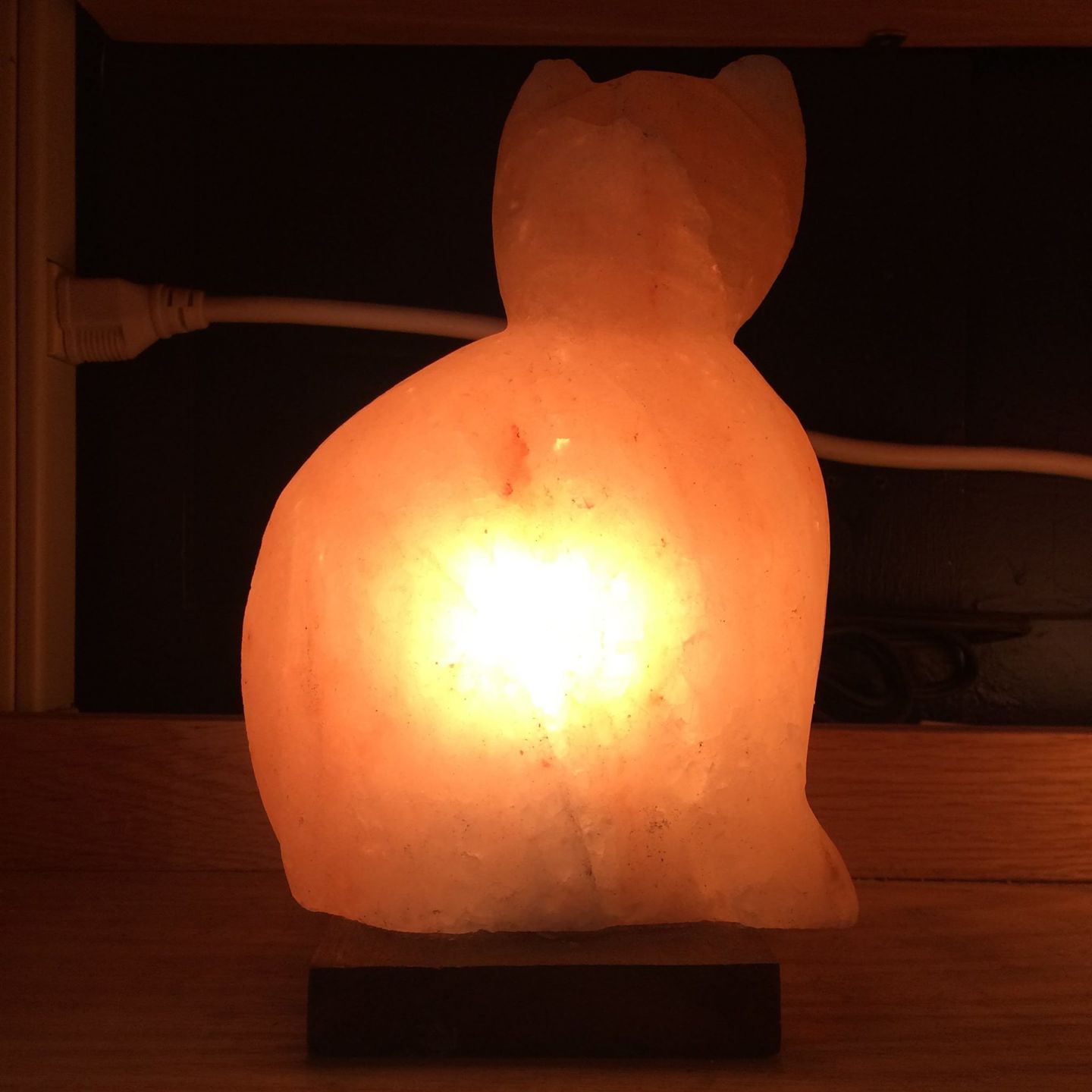 Customer photo review of Purrfect Cat Himalayan Salt Lamp
