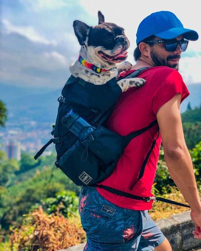 frenchie dog backpack