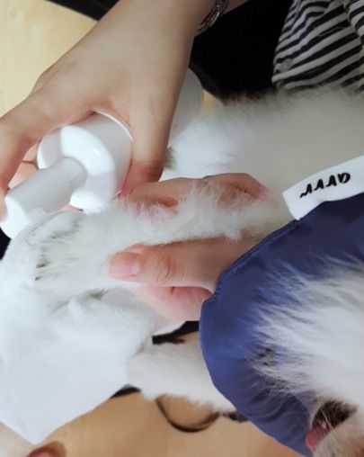 Customer photo review of arrr Waterless Bubble Cleanser