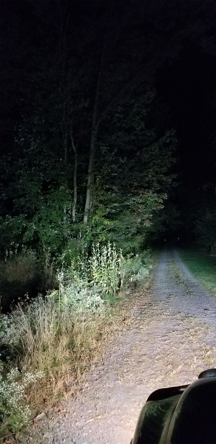 Customer photo review of CARIFEX®  Non-Flickering LED Headlight Sets