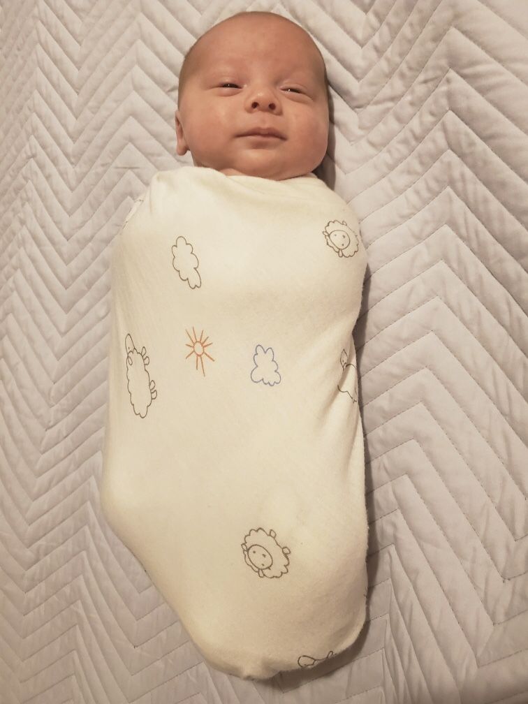 Customer photo review of Swaddle Blanket, Merino Wool, Newborn to 3 Months, Sheep
