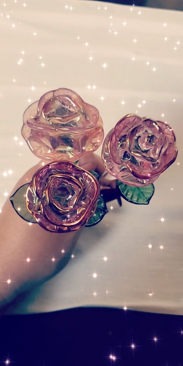 Customer photo review of Glass Roses by Dan