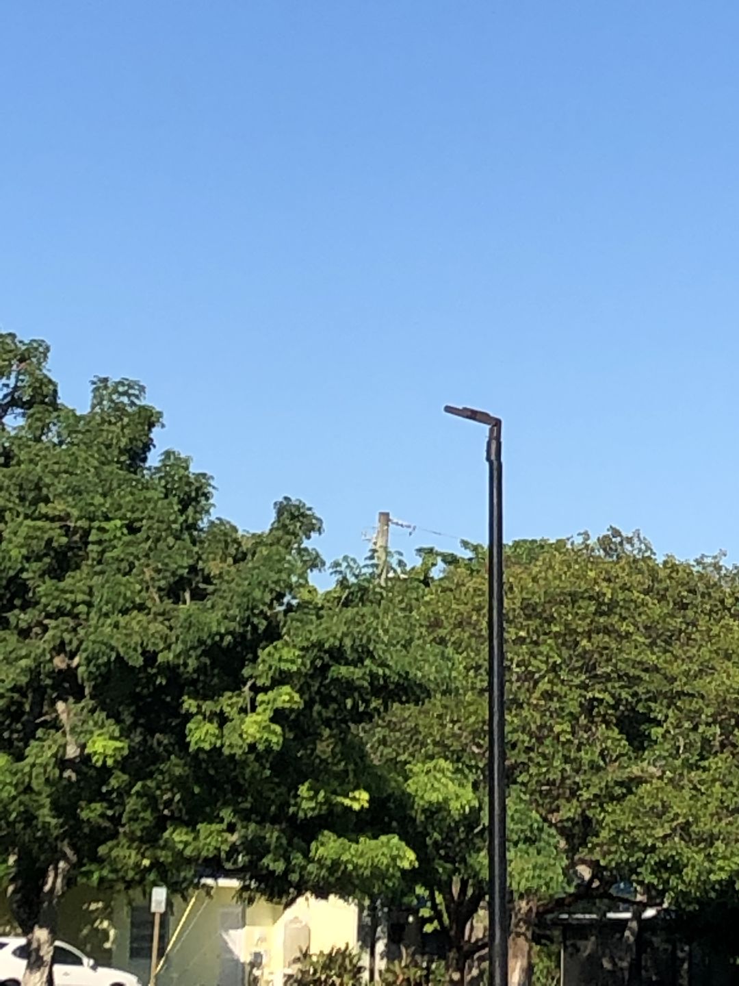 Customer photo review of LED Pole Light 150 Watt 5700K Black AM