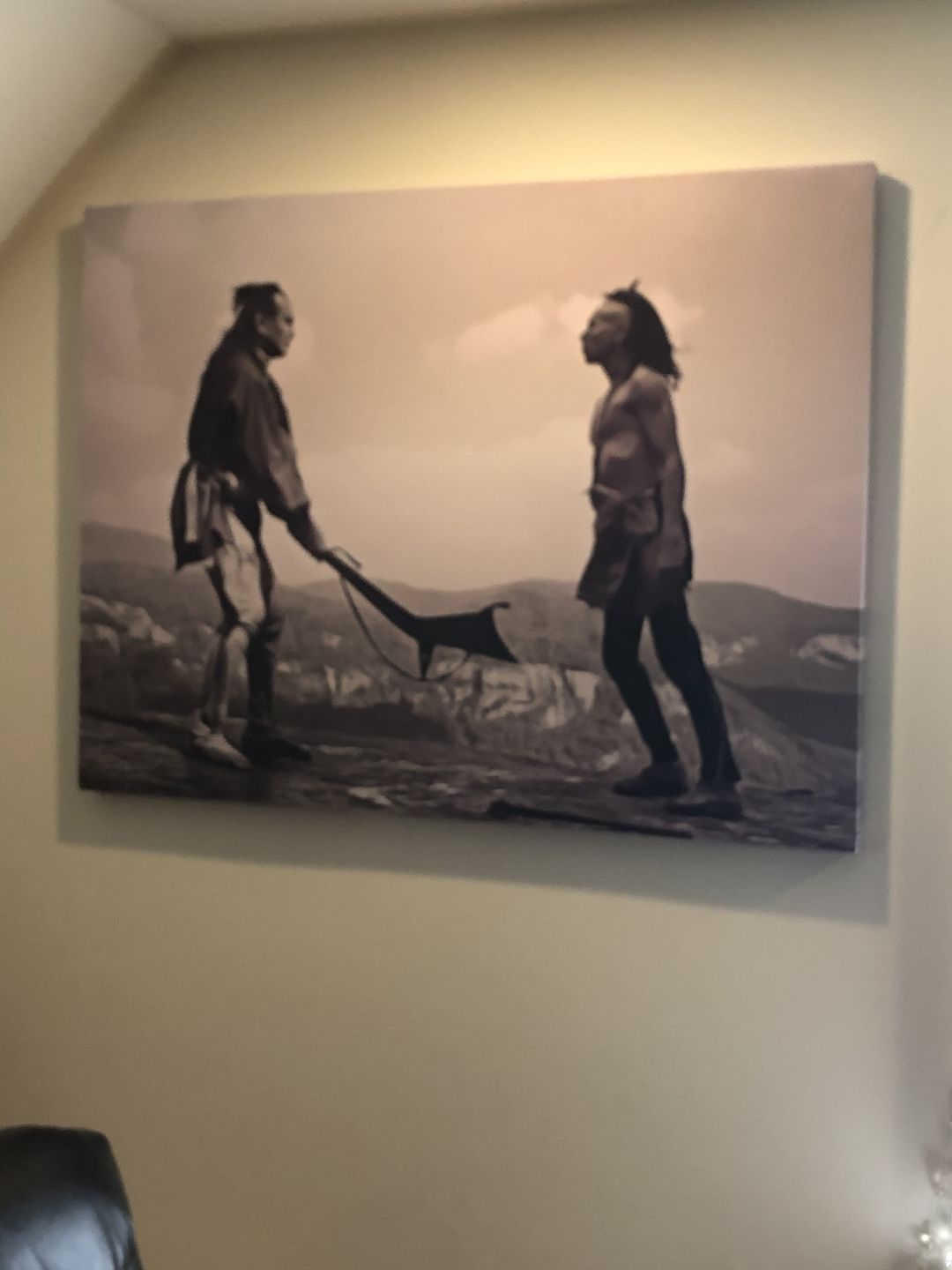 Customer photo review of Last of the Mohicans Wall Art