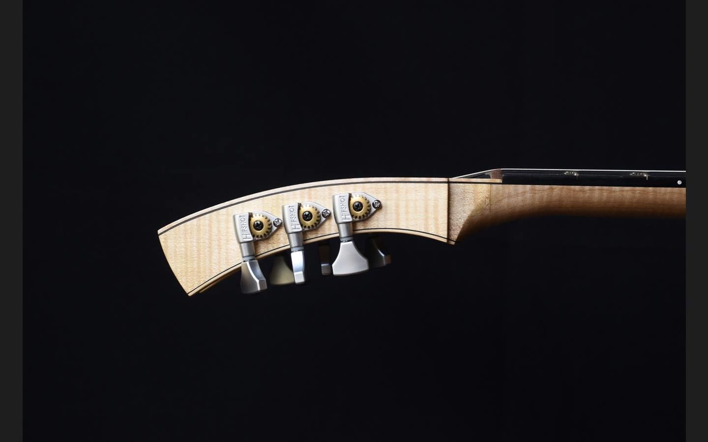 Customer photo review of Guitar Tuner Buttons (Sold Individually)