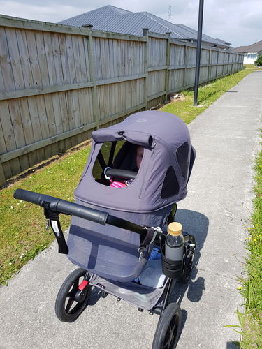bugaboo fox breezy stellar
