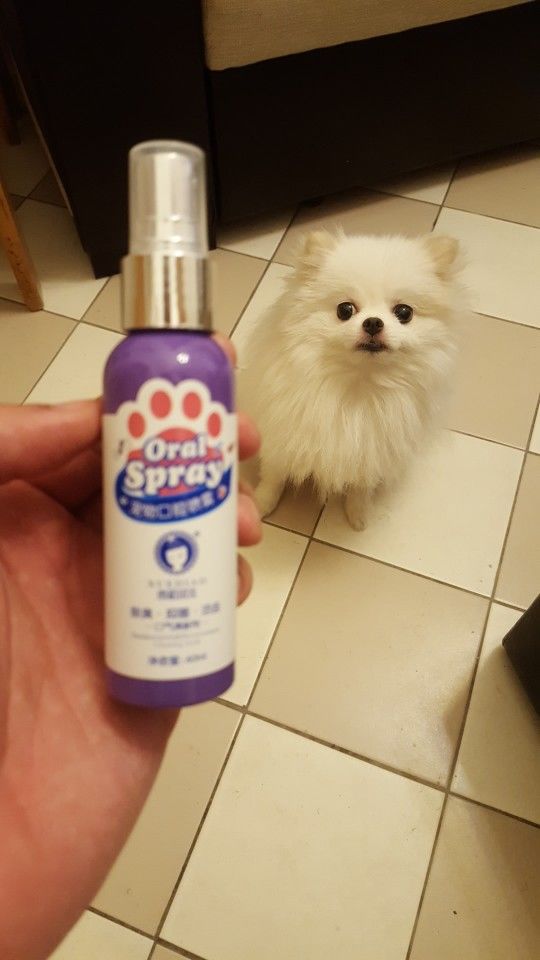 Customer photo review of Spray anti-tartre pour chien