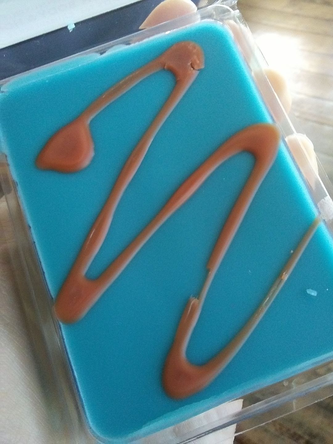 Customer photo review of Petrichor Wax Melts