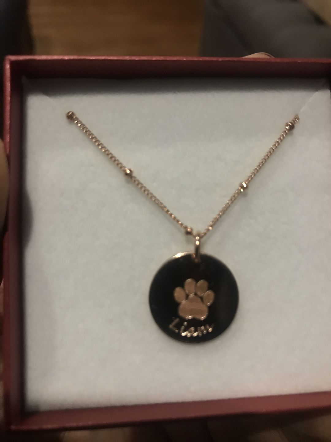 Customer photo review of Personalized Pet Paw Print Charm Necklace