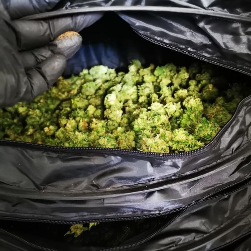 WeDryer herb dryer Reviews 164 Reviews