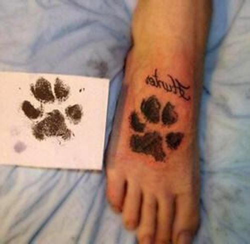 paw print stamp pad