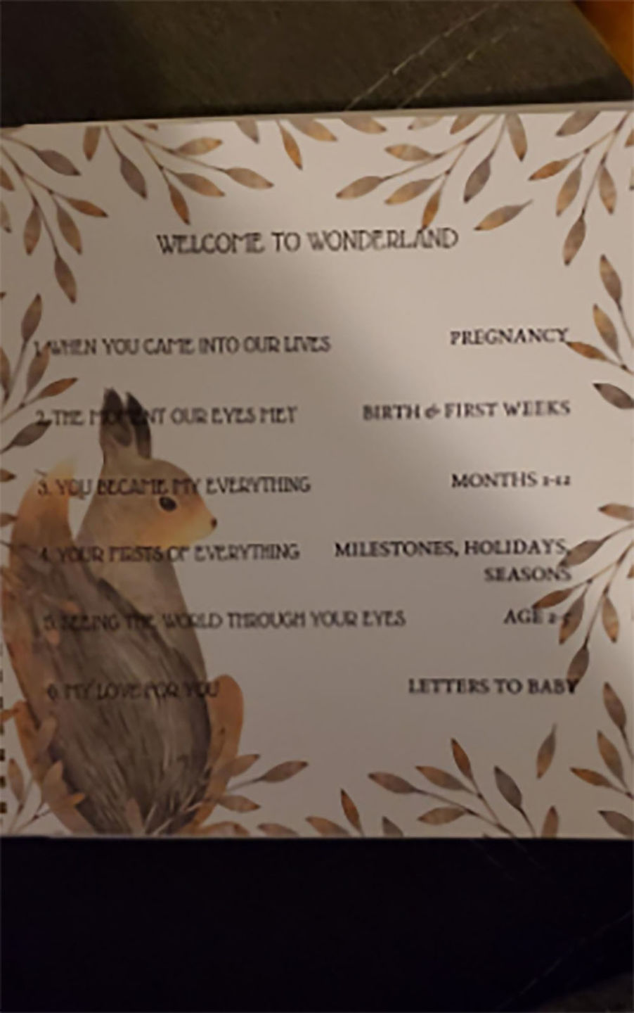 Customer photo review of Baby First Years Memory Book