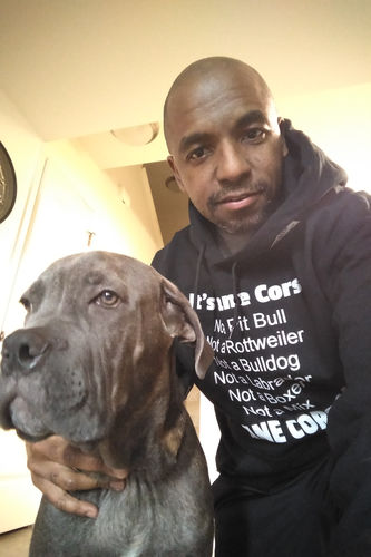 Our Reviews My Cane Corso